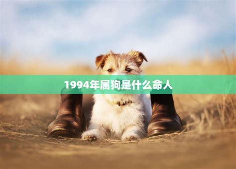 1994年出生|1994年属狗是什么命五行 1994年属狗是什么命五行缺什么